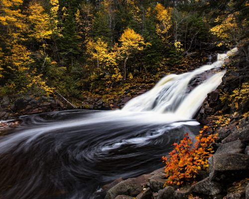 Mary Ann Falls in the Fall 2018