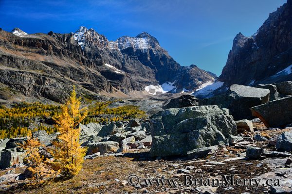 Beautiful Opabin Plateau in Lake O'Hara