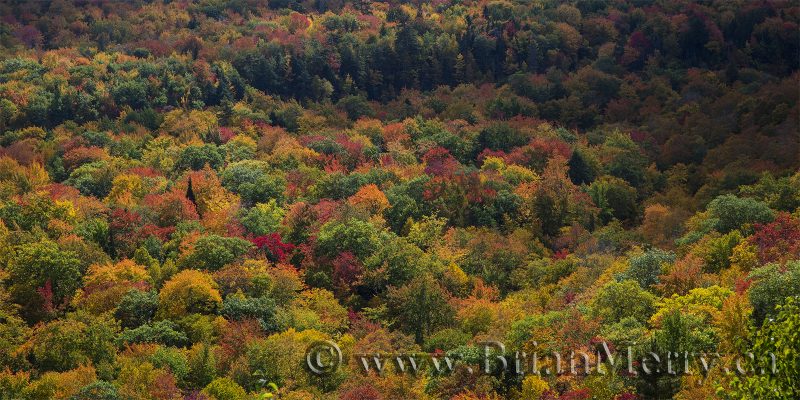 The North Aspy River on Cape Breton Island