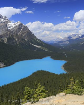 Peyto Lake is one of the iconic scenes in the Canadian Rockies. © www.brianmerry.ca