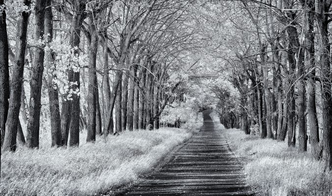 The Road to Happiness in Infrared, © www.brianmerry.ca